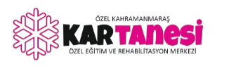 Kar Tanesi Logo