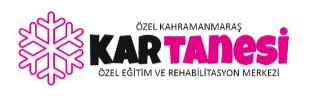Kar Tanesi Logo